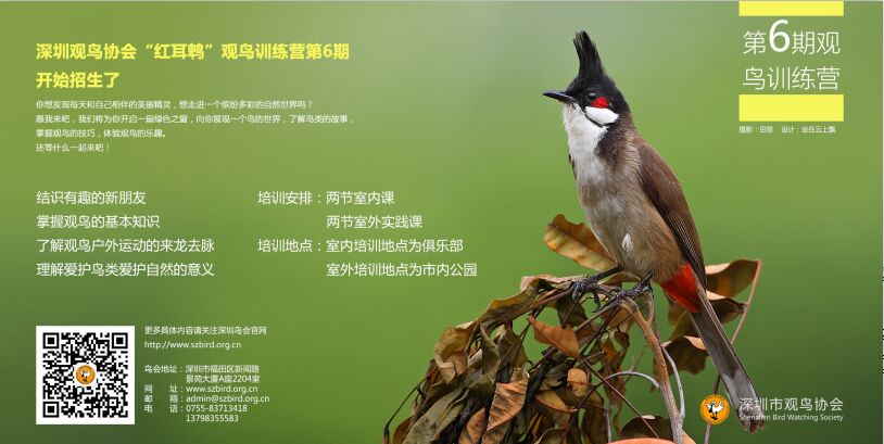 dvubb 按此在新窗口浏览图片